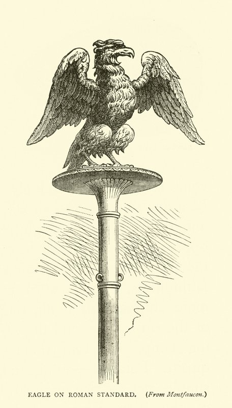 Eagle på Roman Standard av English School