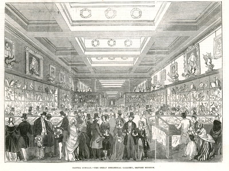 Påskedag - Great Zoological Gallery, British Museum av English School