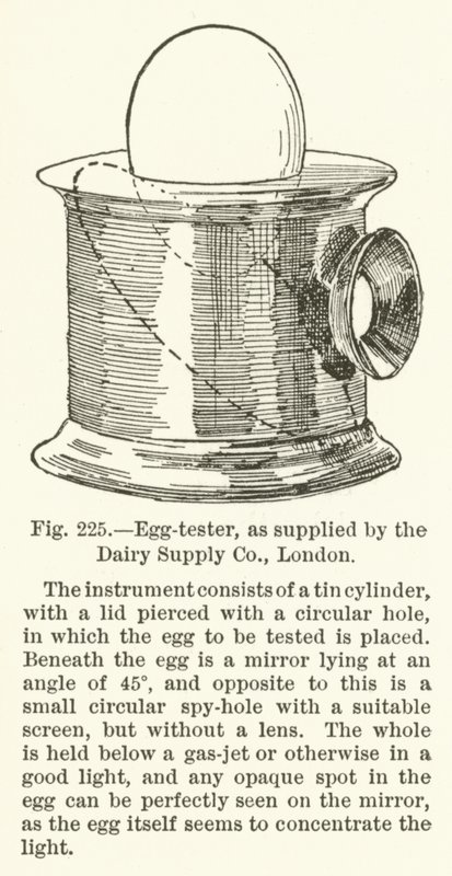 Egg-tester, levert av Dairy Supply Company, London av English School