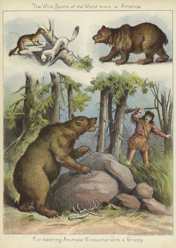 Møte med en grizzly av English School