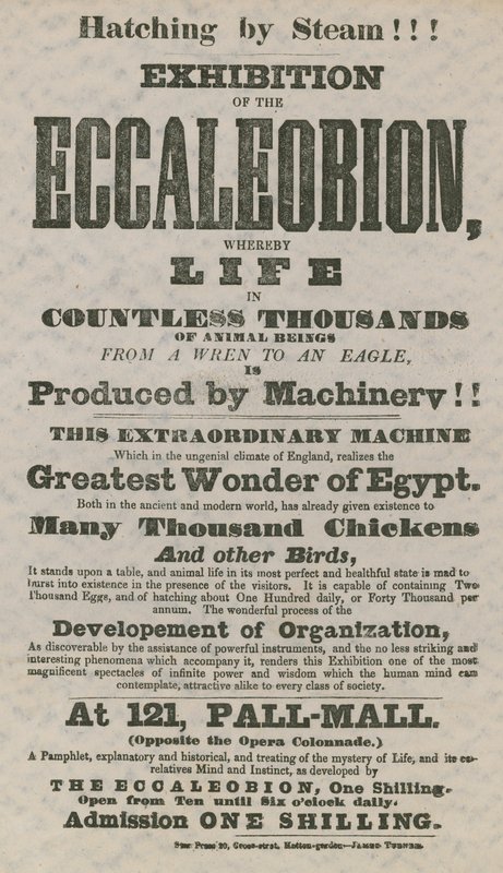 Utstilling av Eccaleobion av English School