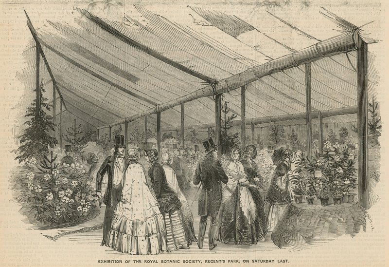 Utstilling av Royal Botanic Society av English School