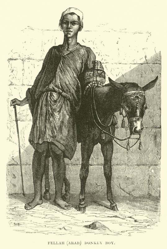 Fellah, arabisk; eselgutt av English School