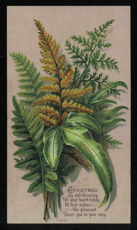 Festlig bladarrangement, julekort (chromolitho) av English School