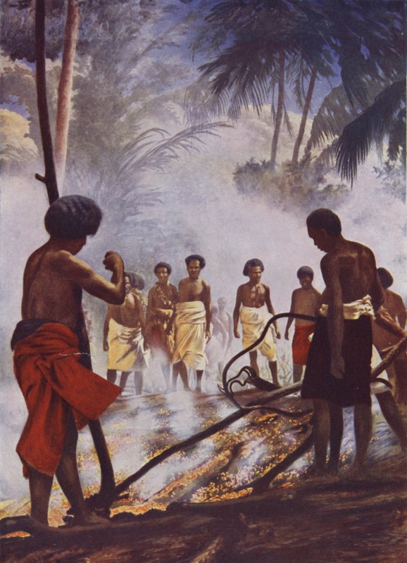 Brannvandring i Fiji av English School