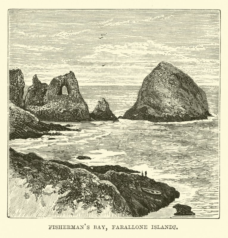 Fishermans Bay, Farallonøyene av English School
