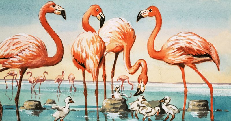 Flamingoer av English School