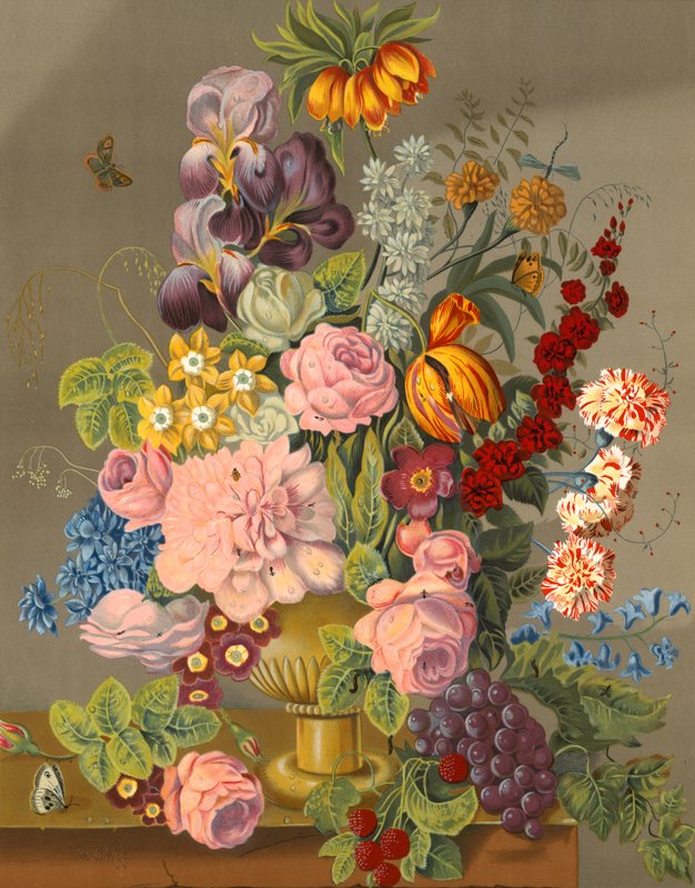 Blomsterutstilling av English School