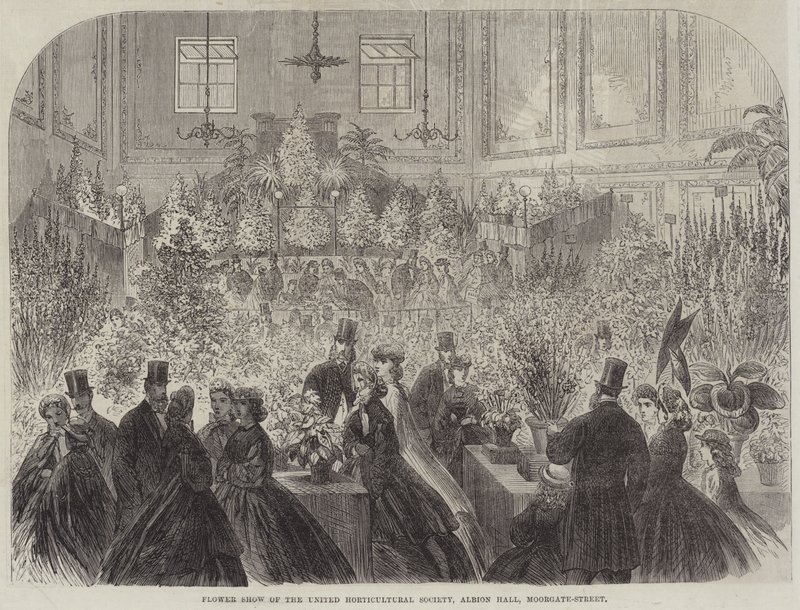 Flower Show of the United Horticultural Society, Albion Hall, Moorgate-Street (gravering) av English School