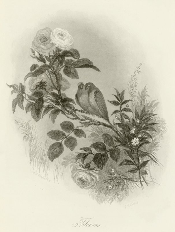 Blomster av English School