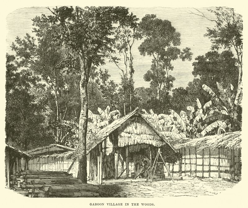 Gaboon Village i skogen av English School