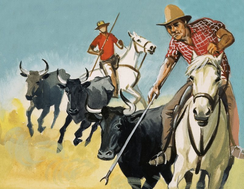 Garderne i Camargue av English School
