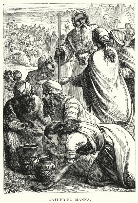 Gathering Manna (gravering) av English School