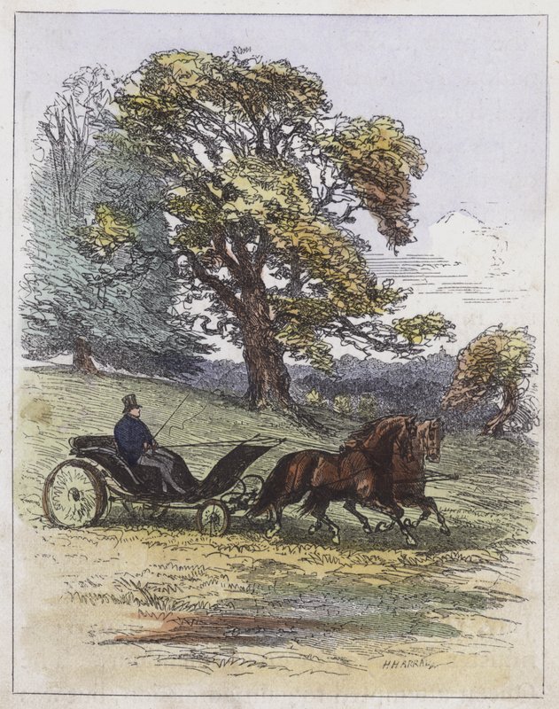 Darwin Tulipaner (farge litho) av English School