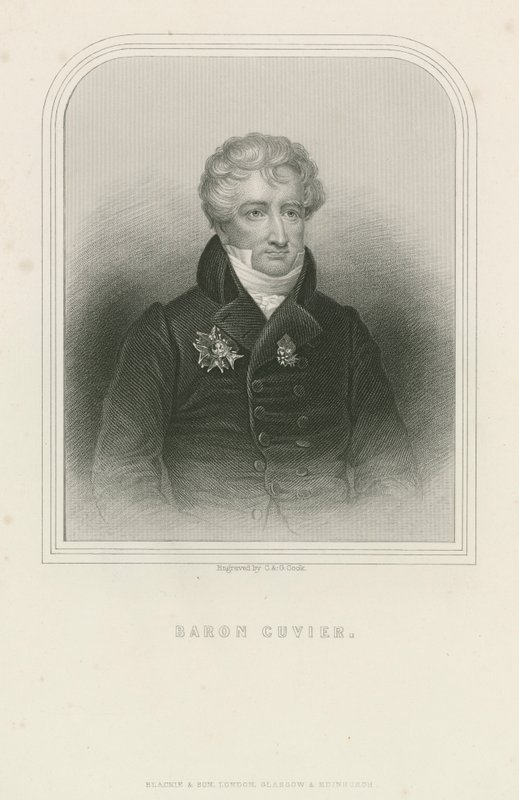 Georges Cuvier , fransk naturforsker og zoolog (gravering) av English School