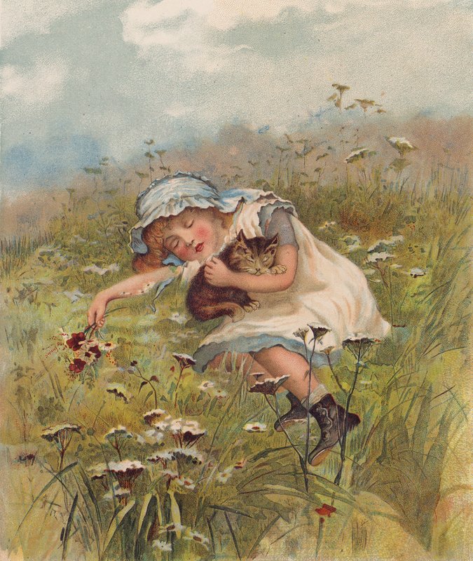 Jente og en katt sover i et felt (chromolitho) av English School