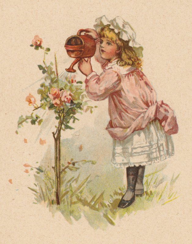 Jente som vanner roser (chromolitho) av English School