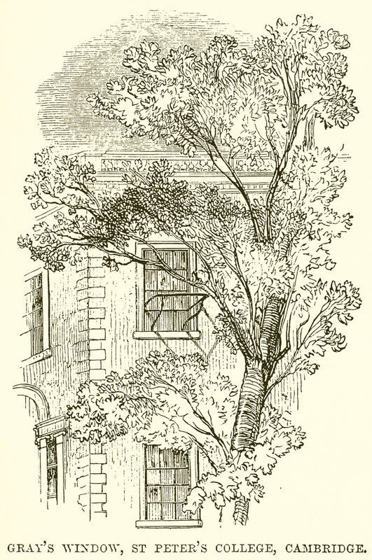 Grays Window, St Peters College, Cambridge av English School