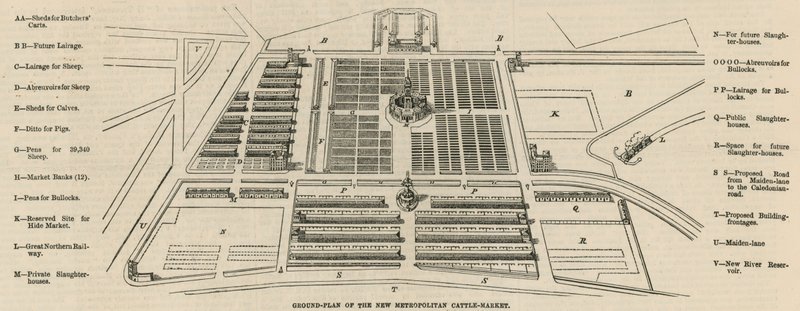 Grunnplan for det nye Metropolitan Cattle Market, Copenhagen Fields av English School