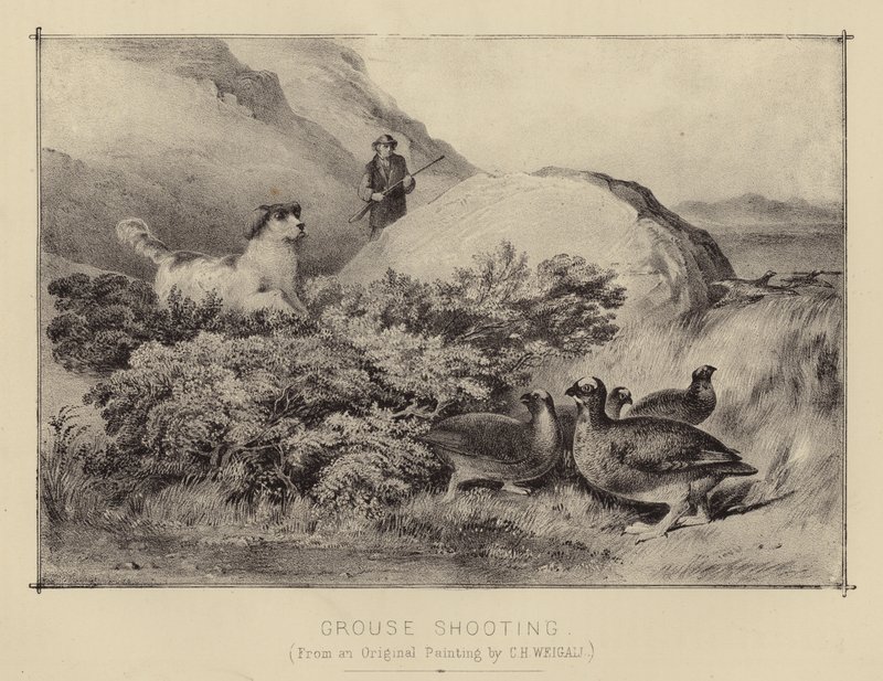 Rypeskyting (farge litho) av English School