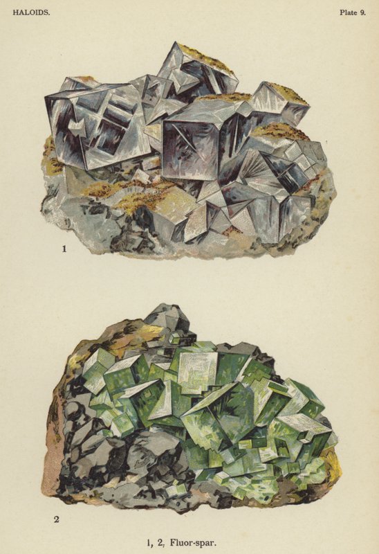 Haloider, fluor-spat (farge litho) av English School