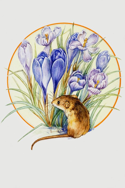 Høst mus og krokus av English School