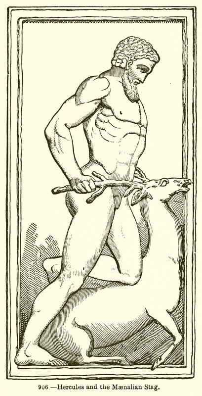 Hercules og Maenalian Stag av English School