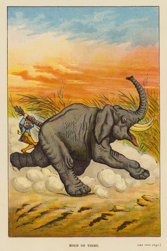 Hold fast (farge litho) av English School