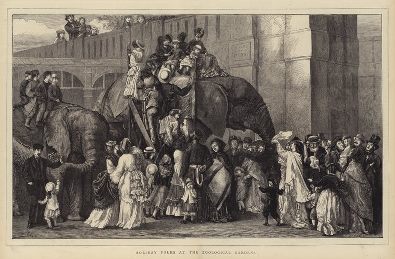 Holiday Folks at the Zoological Gardens (gravering) av English School