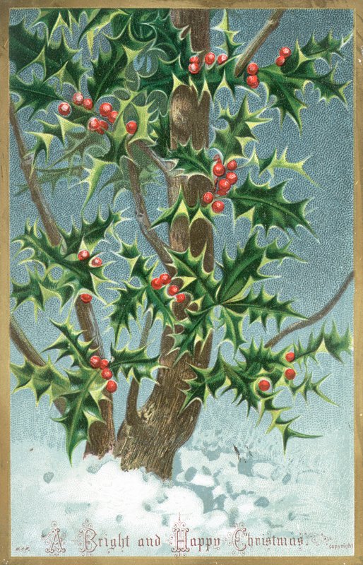 Holly Tree, julekort av English School