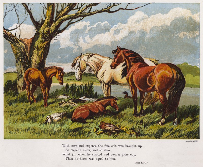 Hester med en ung føll på en elvebredd (farget gravering) av English School