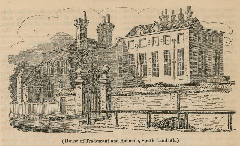 House of Tradescant og Ashmole, South Lambeth av English School