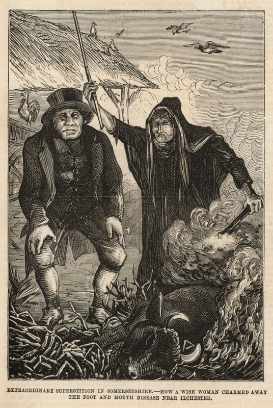 Hvordan en klok kvinne sjarmerte bort munn- og klovsyken nær Ilchester av English School