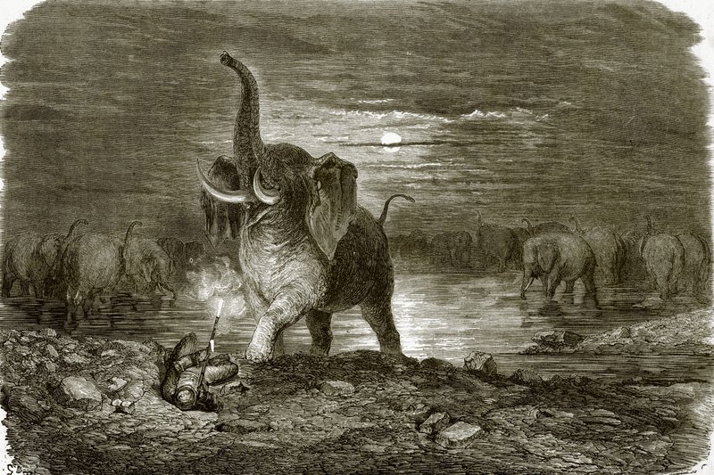 Jeger og elefant av English School