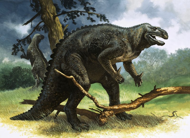 Iguanodon av English School