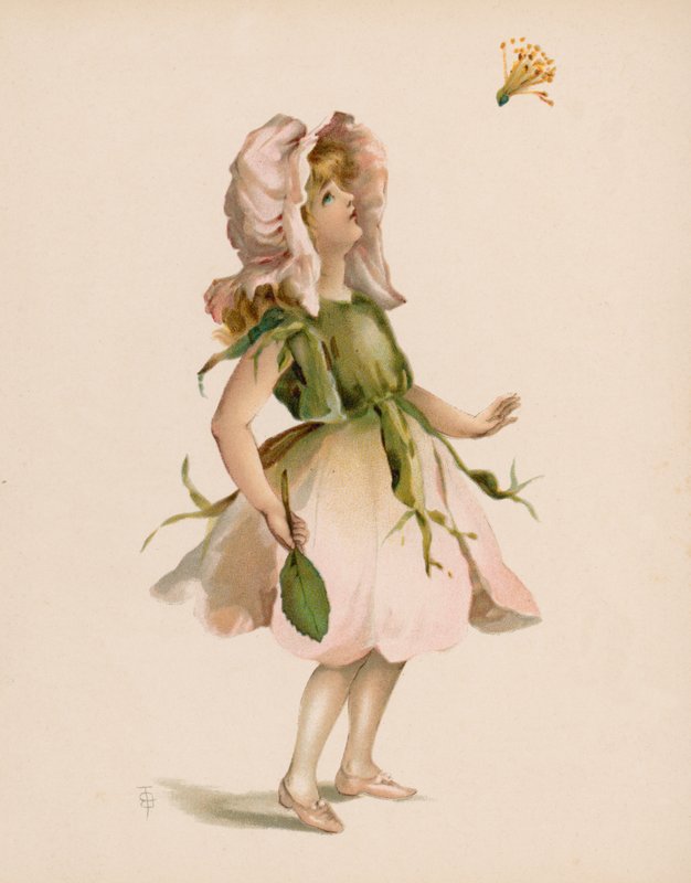 Illustrasjon for The Language Of Flowers (chromolitho) av English School
