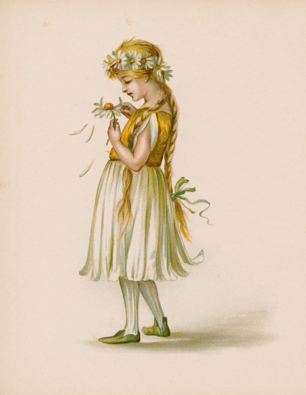 Illustrasjon for The Language Of Flowers av English School