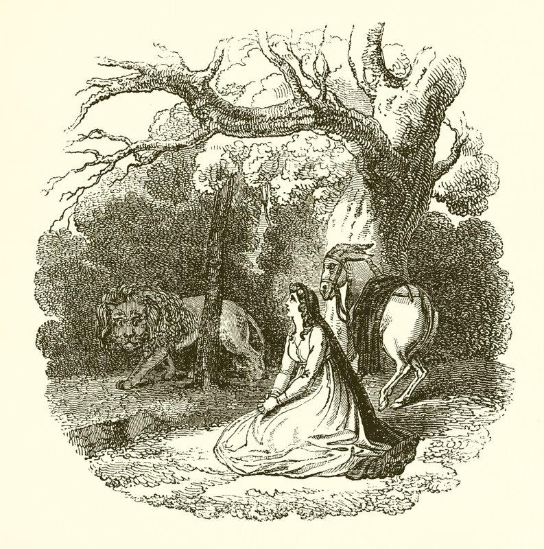 Illustrasjon av Faery Queene av English School