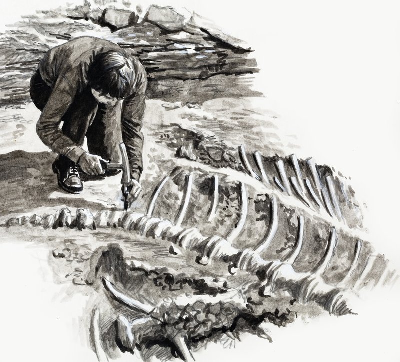 In the Days of the Dinosaurs: Battle of the Giants av English School
