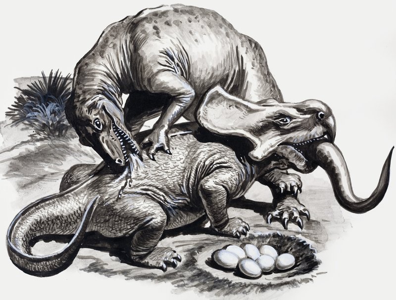 In the Days of the Dinosaurs: Discovery in the Desert av English School