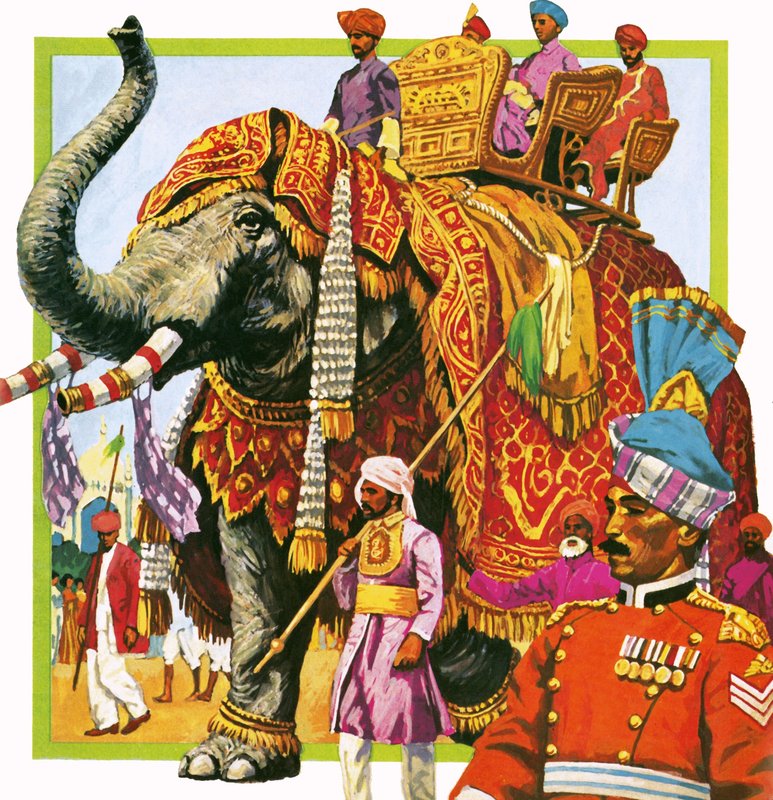 Indisk elefant av English School
