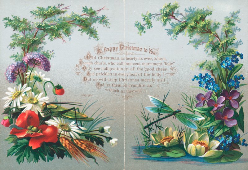 Insekter og blomster, julekort av English School