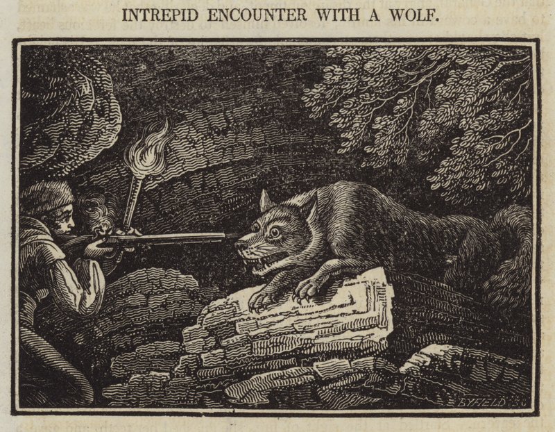 Intrepid Encounter with a Wolf (gravering) av English School
