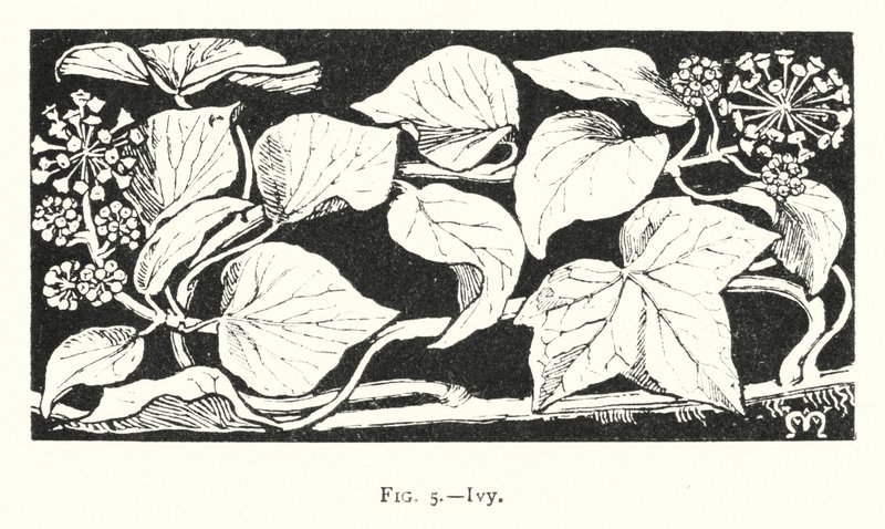 Ivy (engraving)   1418255   no       norwegian Successfully Translated  Original: Alphonse III des Asturies, dit Le Grand - Alfonso III (1265-1291), King of Aragon - Peinture de Jaume (Jaime) Mateu (1382-1452) - 1427 - Tempera on panel - 56,5x45,2 - Museu  av English School