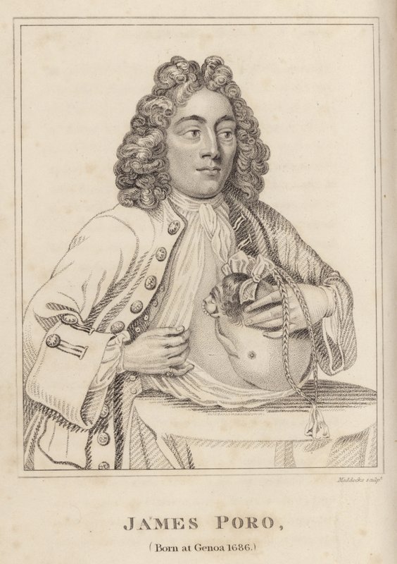 James Poro, født i Genova 1686 av English School