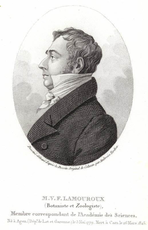 Jean Vincent Felix Lamouroux av English School