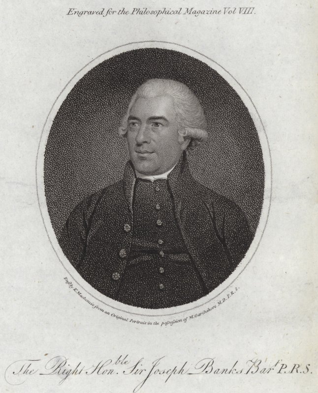 Joseph Banks av English School