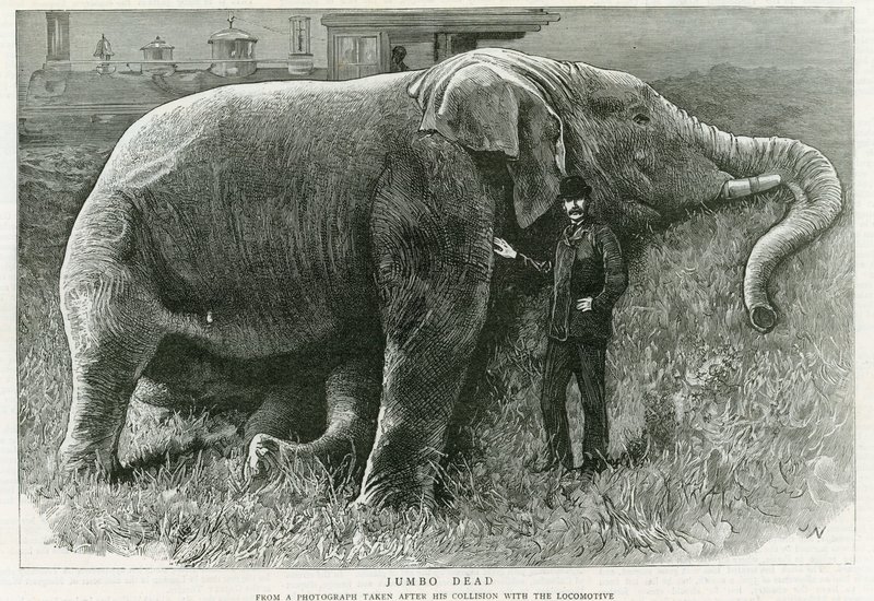 Jumbo, død av English School