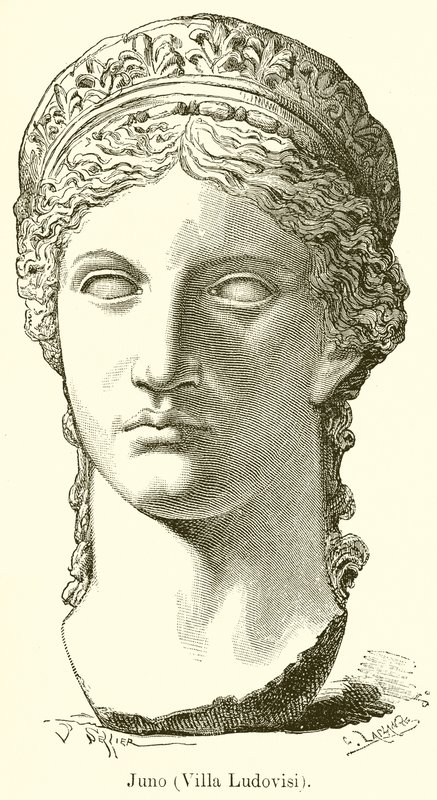 Juno (Villa Ludovisi) av English School