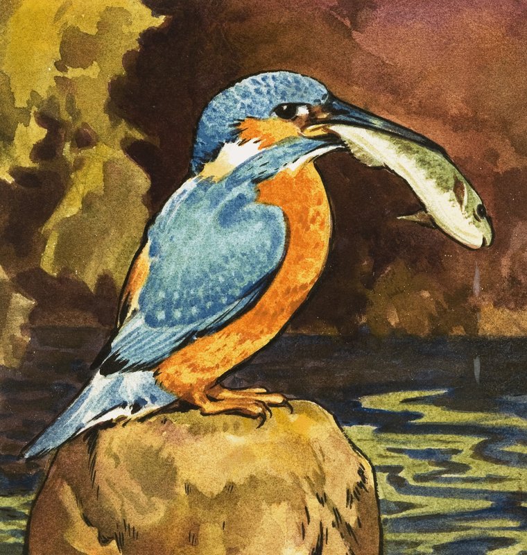 Kingfisher med fisk av English School